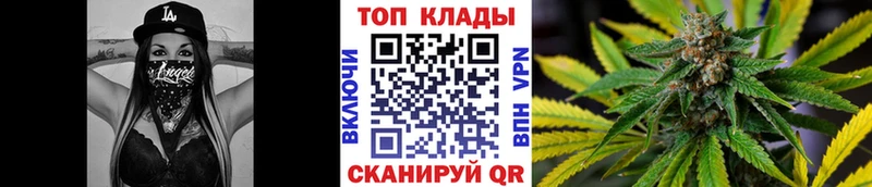 Галлюциногенные грибы Красавино
