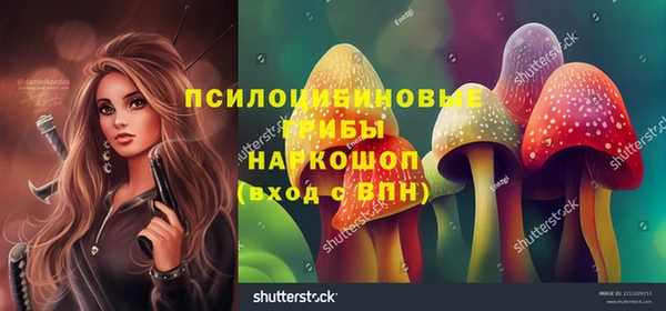 мдма Елизово